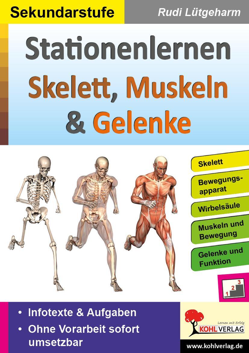 Cover: 9783966240215 | Stationenlernen Skelette, Muskeln & Gelenke | Rudi Lütgeharm | Buch