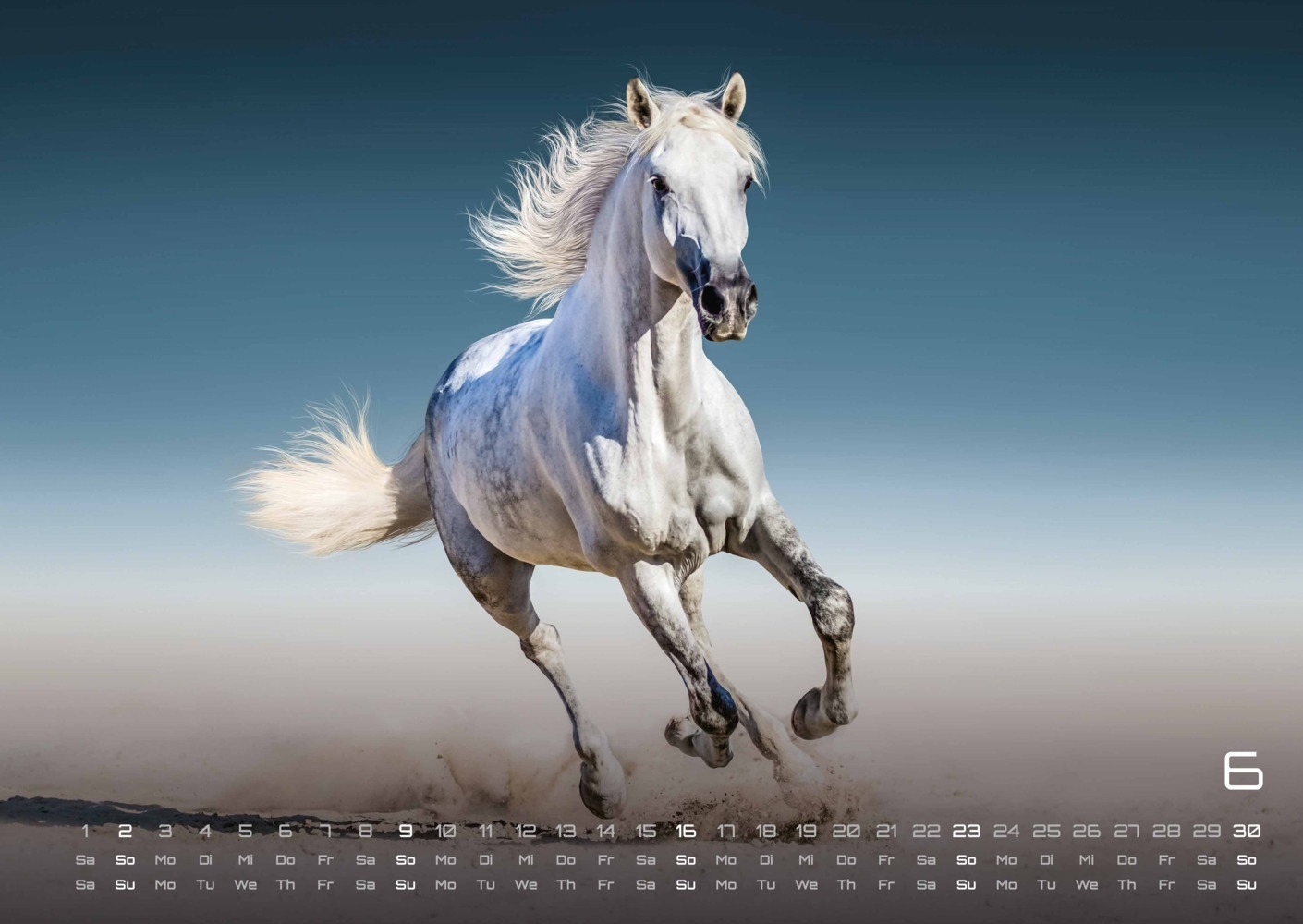 Bild: 9783986732677 | Pferdegeflüster - Der Pferdekalender - 2024 - Kalender DIN A2 | 2024