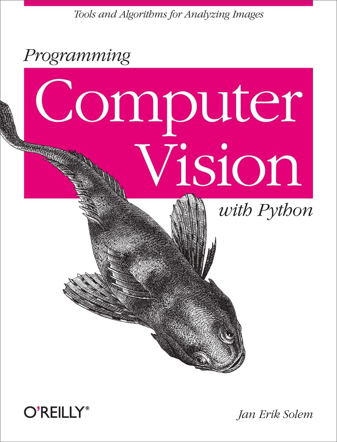 Cover: 9781449316549 | Programming Computer Vision with Python | Jan Erik Solem | Taschenbuch