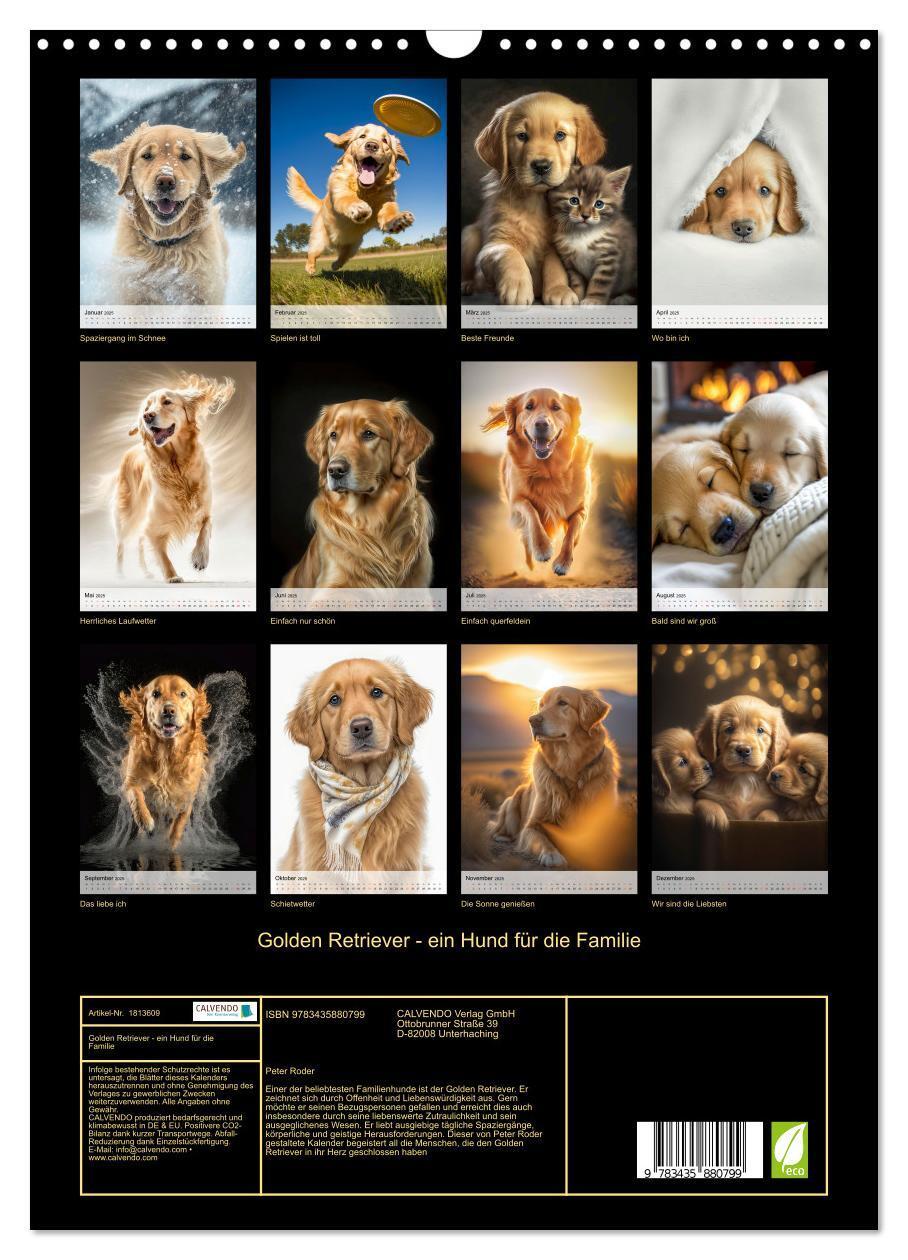 Bild: 9783435880799 | Golden Retriever - ein Hund für die Familie (Wandkalender 2025 DIN...