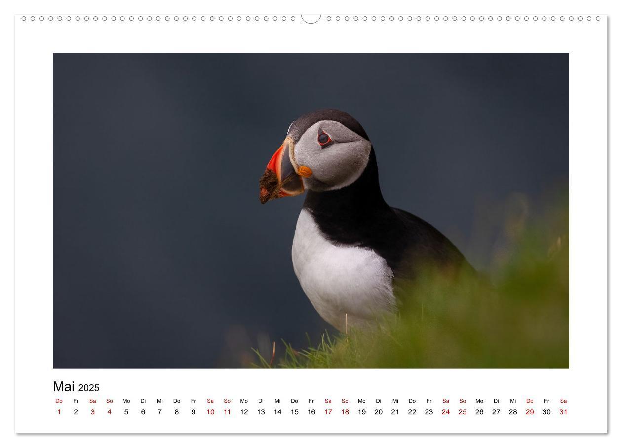 Bild: 9783383885167 | Spitzbergen und der Polarkreis (hochwertiger Premium Wandkalender...