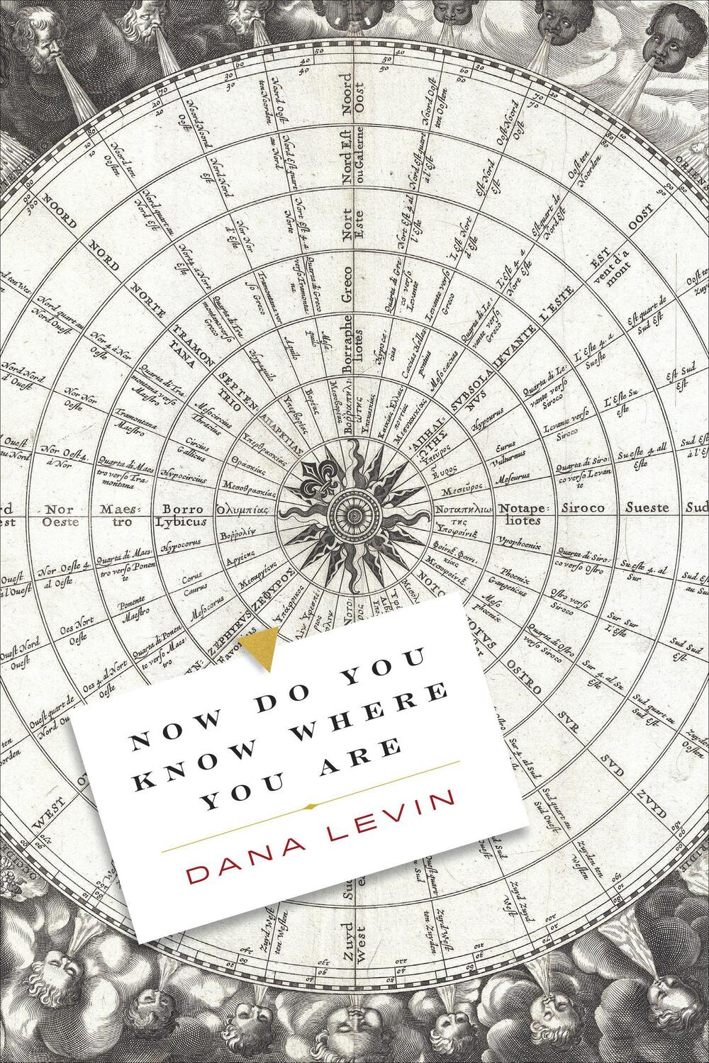 Cover: 9781556596339 | Now Do You Know Where You Are | Dana Levin | Taschenbuch | Englisch