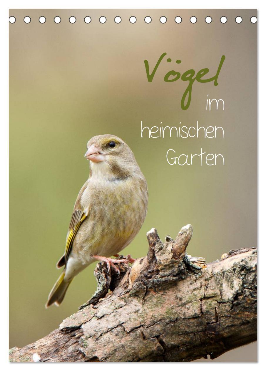 Cover: 9783457007730 | Vögel im heimischen Garten (Tischkalender 2025 DIN A5 hoch),...