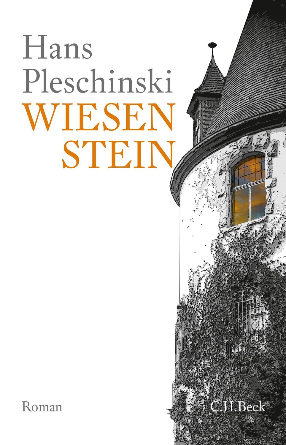 Wiesenstein - Pleschinski, Hans