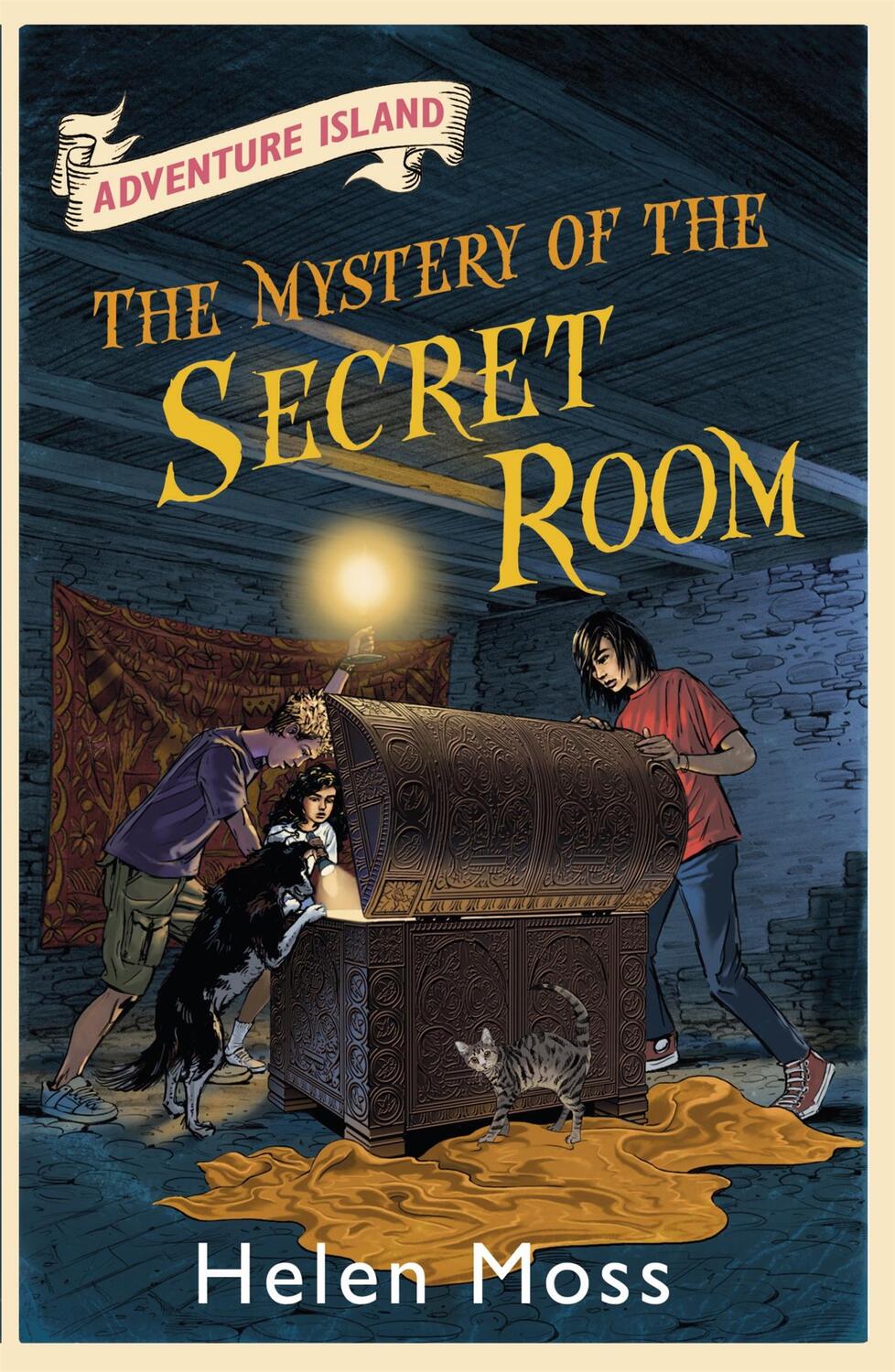 Cover: 9781444007572 | Adventure Island: The Mystery of the Secret Room | Book 13 | Moss