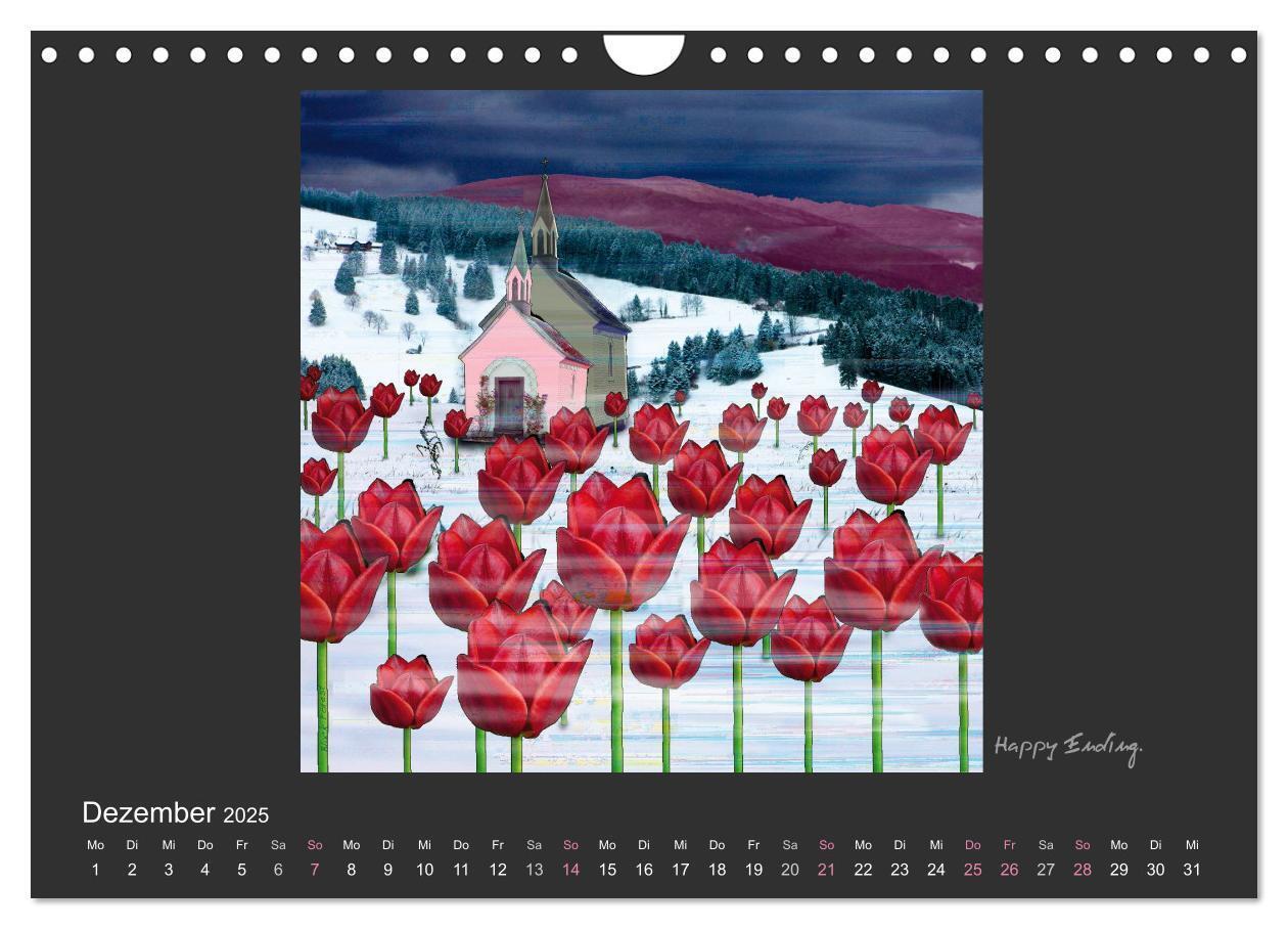 Bild: 9783435649501 | Schwarzwald. Anders. (Wandkalender 2025 DIN A4 quer), CALVENDO...