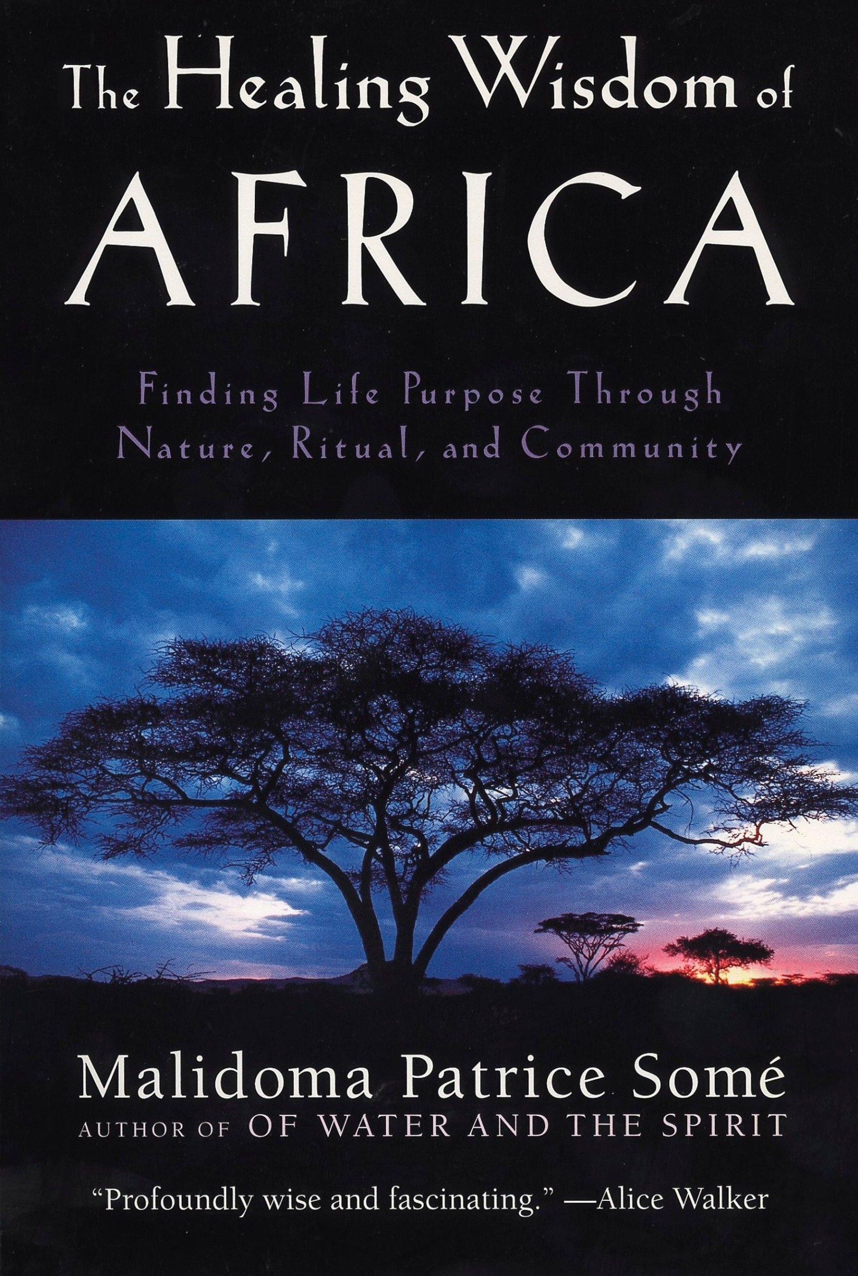 Cover: 9780874779912 | The Healing Wisdom of Africa | Malidoma Patrice Some | Taschenbuch