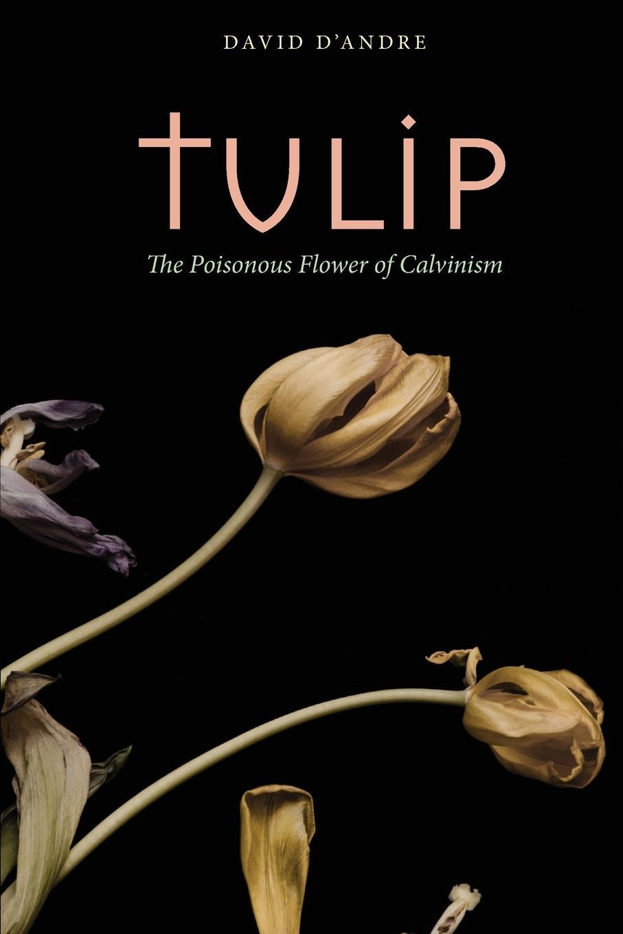 Cover: 9781958061046 | Tulip | The Poisonous Flower of Calvinism | David D'Andre | Buch