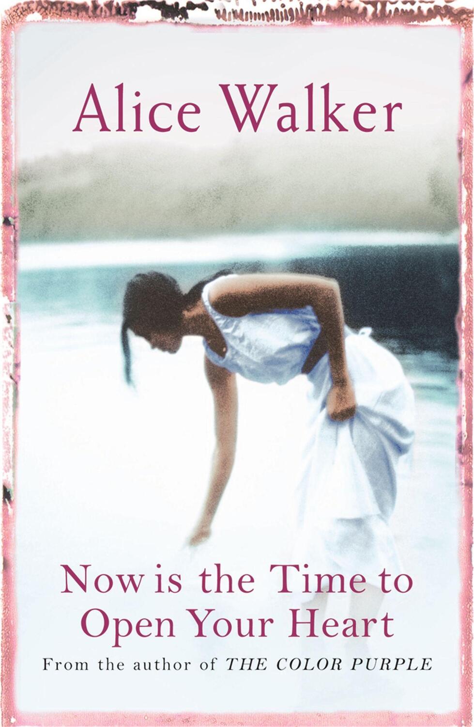 Cover: 9780753819579 | Now is the Time to Open Your Heart | Alice Walker | Taschenbuch | 2005