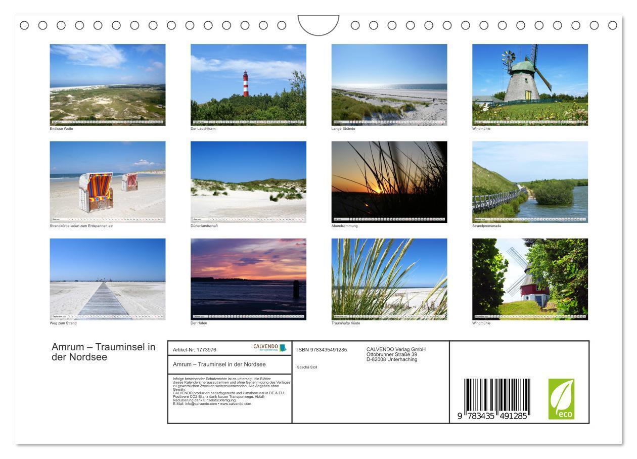 Bild: 9783435491285 | Amrum ¿ Trauminsel in der Nordsee (Wandkalender 2025 DIN A4 quer),...