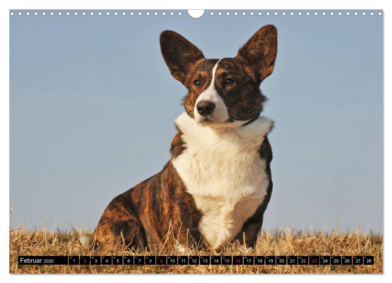 Bild: 9783435670734 | Welsh Corgi - Kobold auf 4 Pfoten (Wandkalender 2025 DIN A3 quer),...