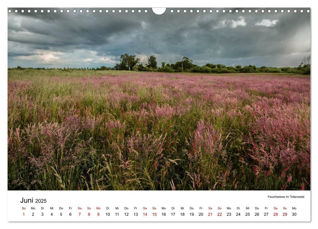 Bild: 9783435453429 | Tollense Landschaften (Wandkalender 2025 DIN A3 quer), CALVENDO...