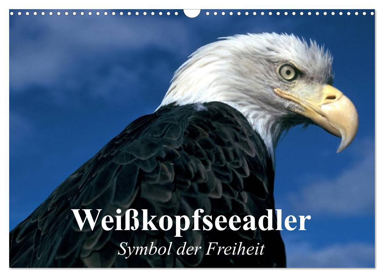 Cover: 9783675894563 | Weißkopfseeadler. Symbol der Freiheit (Wandkalender 2024 DIN A3...