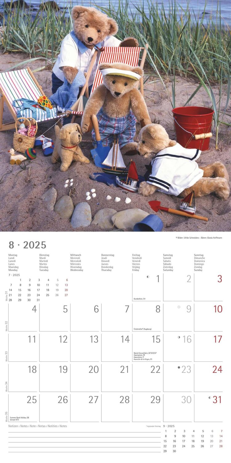 Bild: 4251732340643 | Teddy 2025 - Broschürenkalender 30x30 cm (30x60 geöffnet) -...