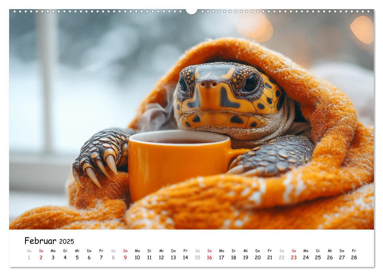 Bild: 9783457215852 | CHILL MAL - Entspannte Schildkröten beim Faulenzen (Wandkalender...