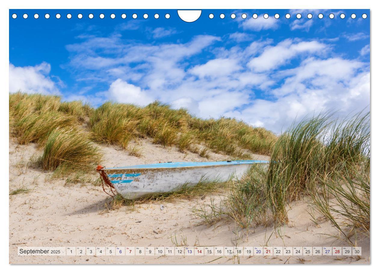 Bild: 9783435106769 | Texel - Kleine Insel, große Vielfalt (Wandkalender 2025 DIN A4...