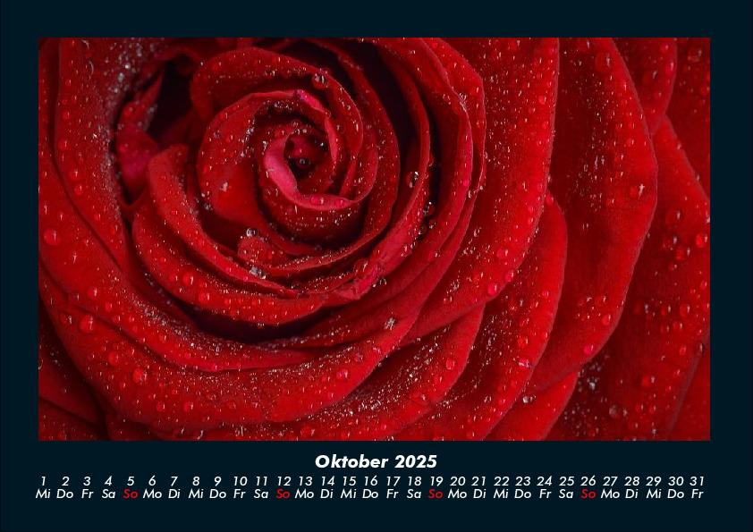 Bild: 9783755970637 | Rosen-Kalender 2025 Fotokalender DIN A4 | Tobias Becker | Kalender