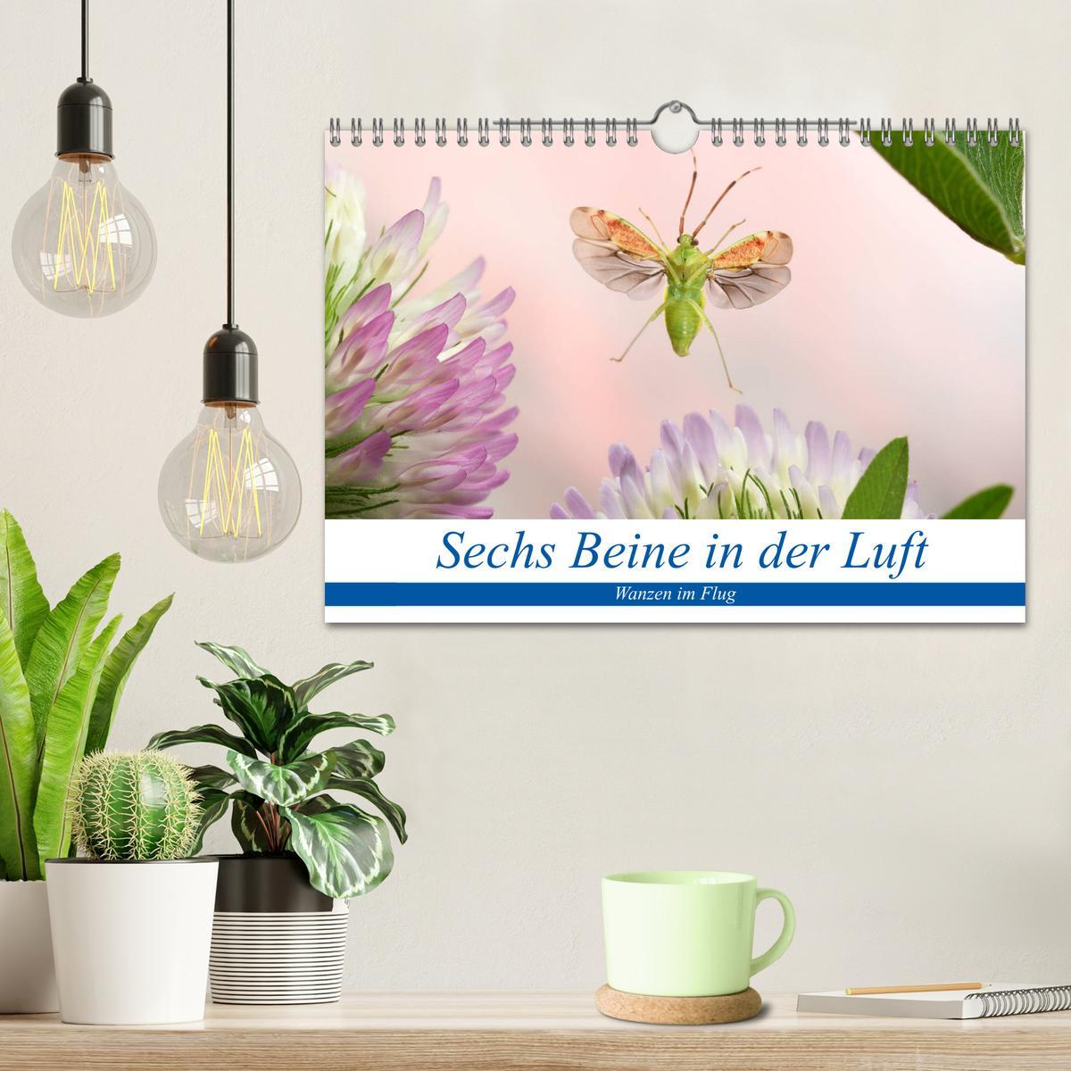 Bild: 9783435220182 | Sechs Beine in der Luft - Wanzen im Flug (Wandkalender 2025 DIN A4...