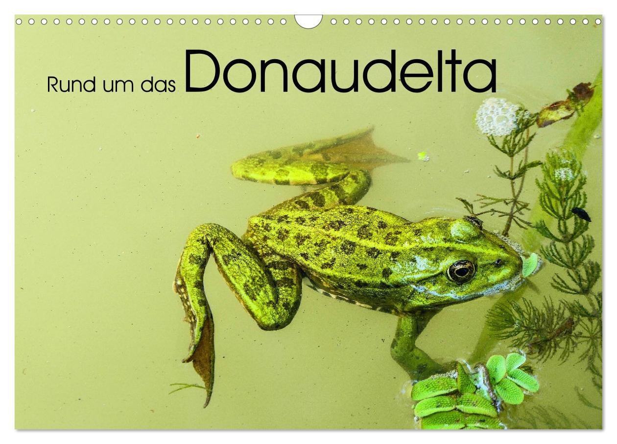 Cover: 9783383803048 | Rund um das Donaudelta (Wandkalender 2025 DIN A3 quer), CALVENDO...