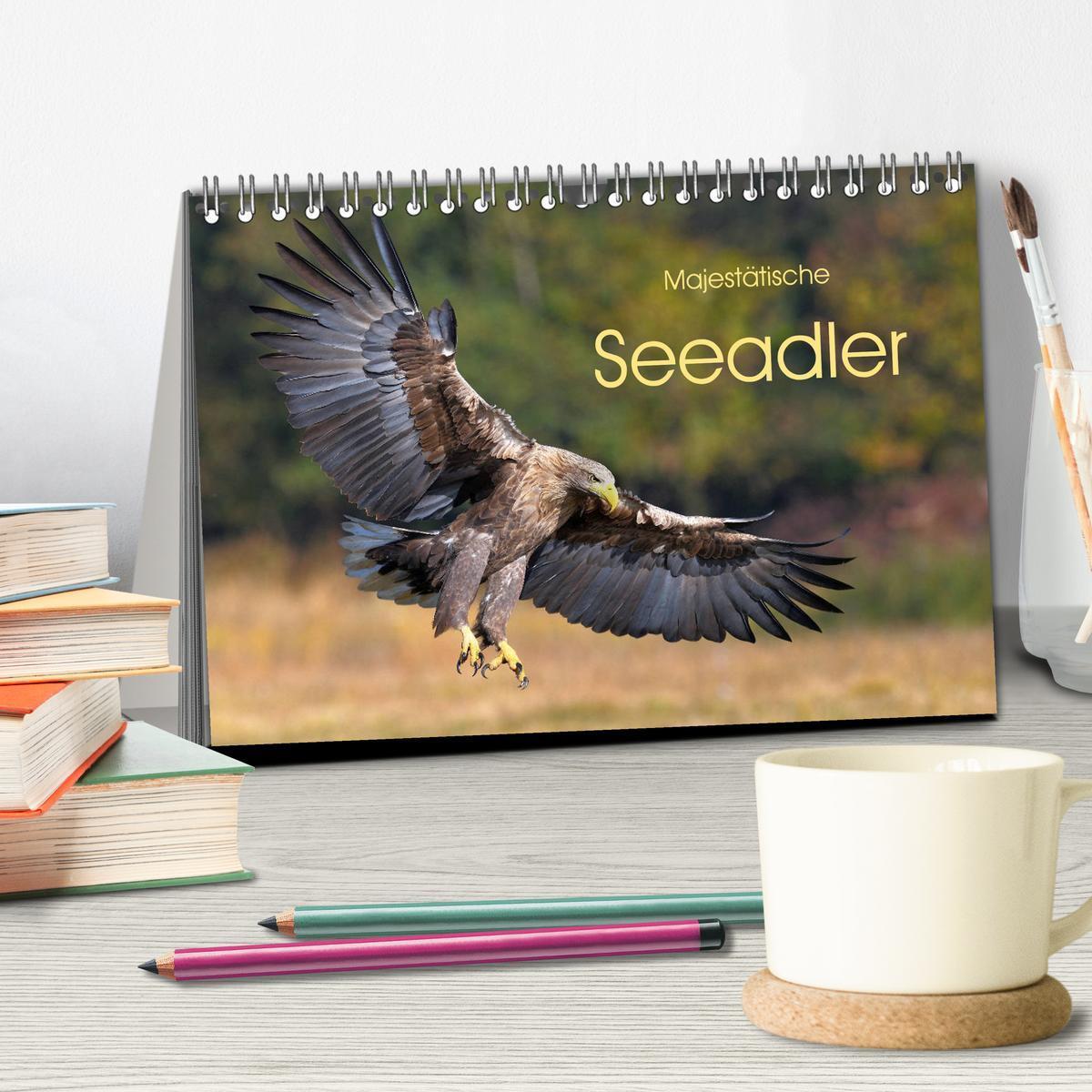 Bild: 9783435229680 | Majestätische Seeadler (Tischkalender 2025 DIN A5 quer), CALVENDO...