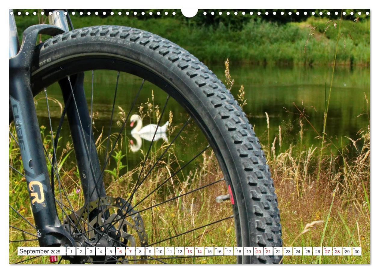 Bild: 9783383964220 | Fahr mal wieder Fahrrad (Wandkalender 2025 DIN A3 quer), CALVENDO...