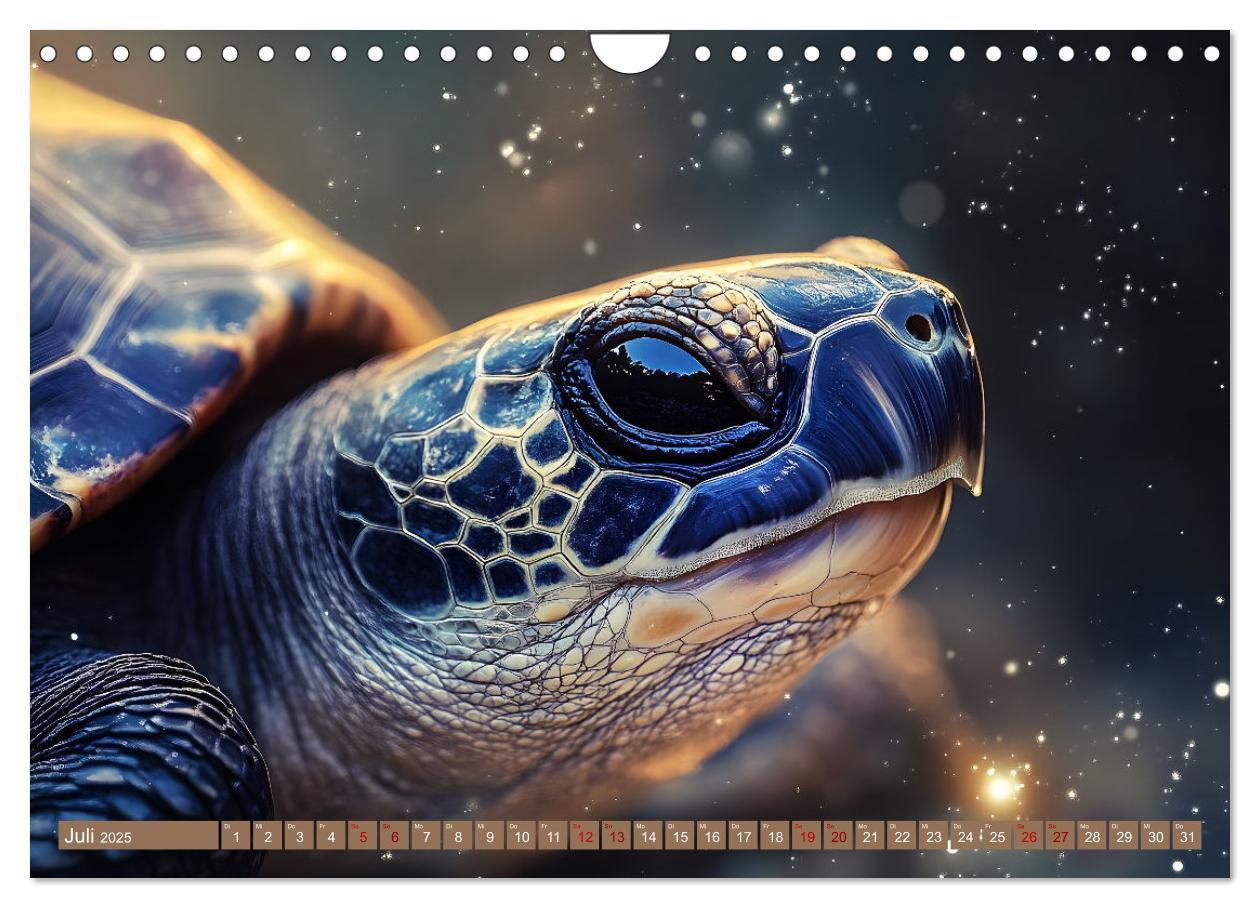 Bild: 9783457241936 | Tierische Balance (Wandkalender 2025 DIN A4 quer), CALVENDO...