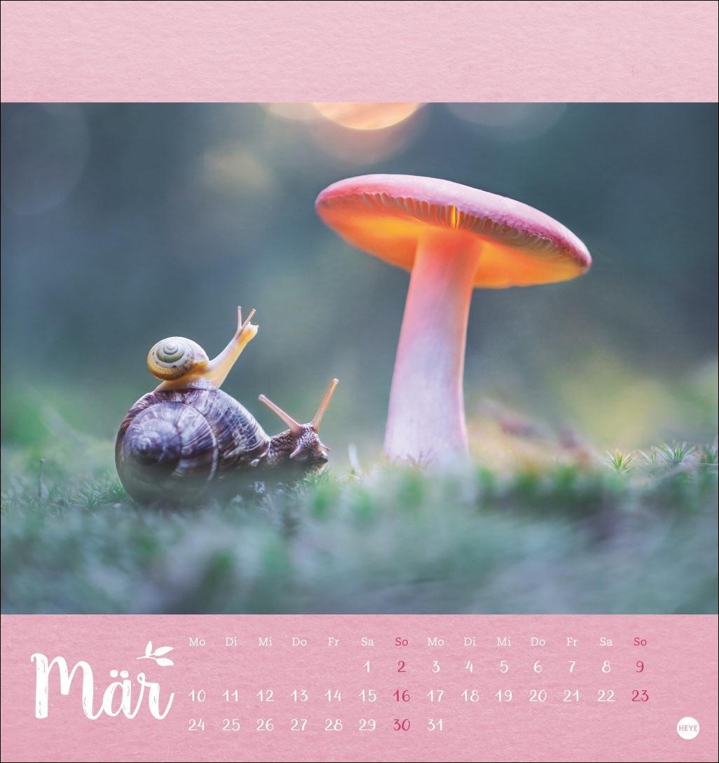 Bild: 9783756407019 | Vadim Trunov: Märchenhaftes Waldleben Postkartenkalender 2025 | 13 S.