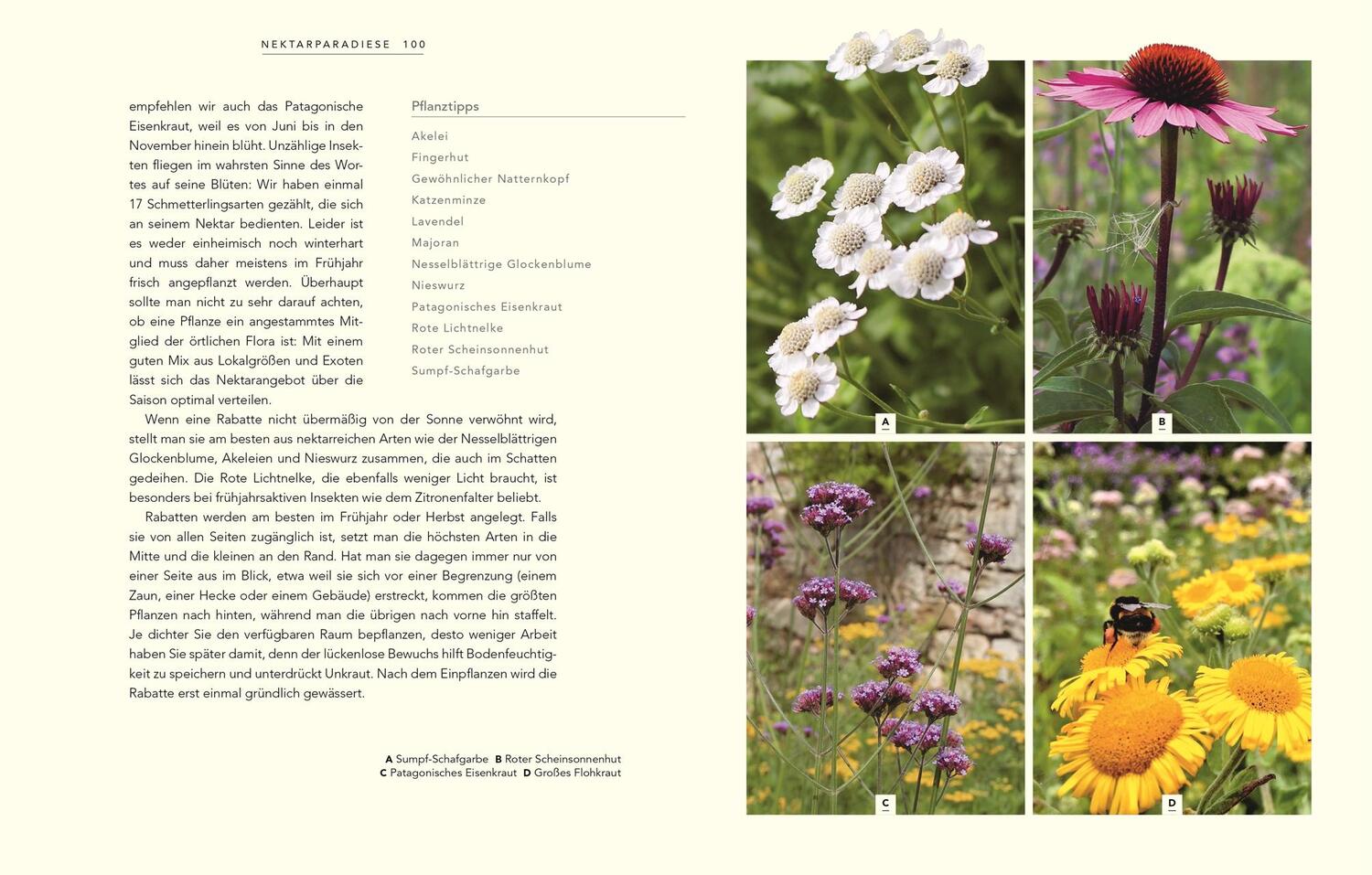 Bild: 9783831041572 | Wildnis im Garten | Grüne Oasen schaffen | Jim und Joel Ashton | Buch