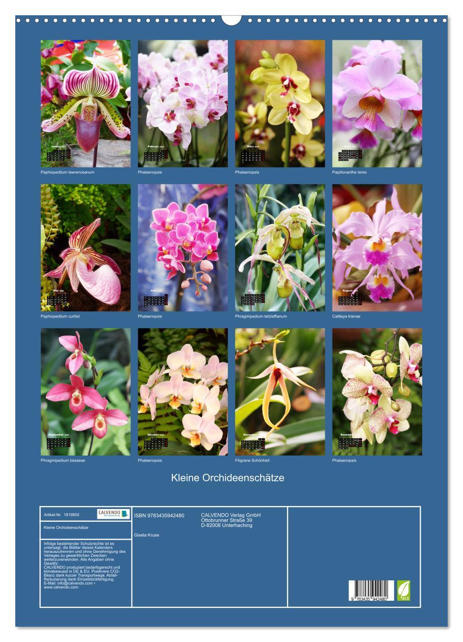 Bild: 9783435942480 | Kleine Orchideenschätze (Wandkalender 2025 DIN A2 hoch), CALVENDO...