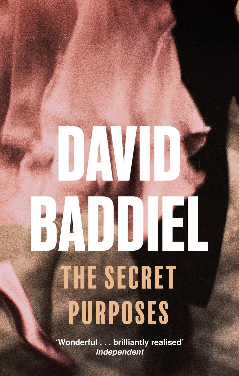 Cover: 9780349117461 | The Secret Purposes | David Baddiel | Taschenbuch | 408 S. | Englisch