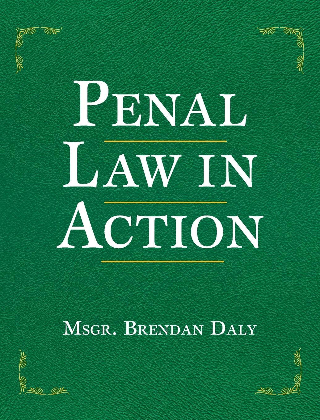 Cover: 9780809156450 | Penal Law in Action | Brendan Daly | Taschenbuch | Paperback | 2023