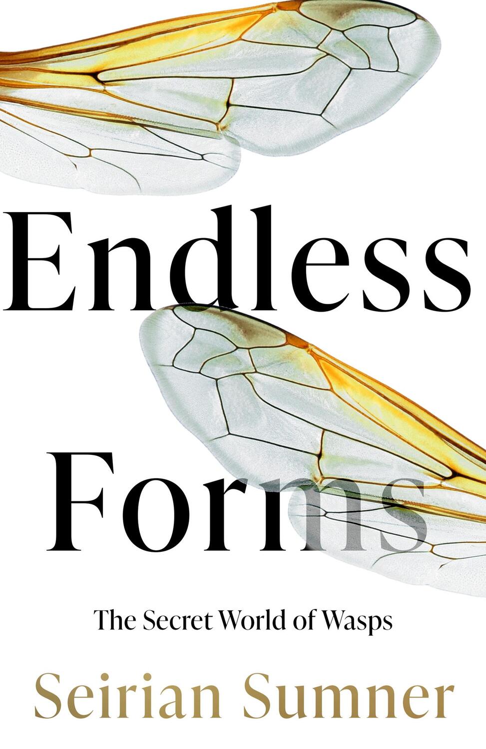 Cover: 9780008394479 | Endless Forms | The Secret World of Wasps | Seirian Sumner | Buch