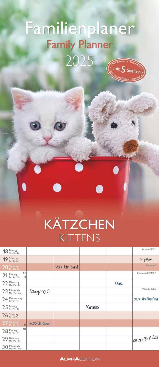 Cover: 4251732341381 | Kätzchen 2025 Familienplaner - Familienkalender - Wandkalender -...