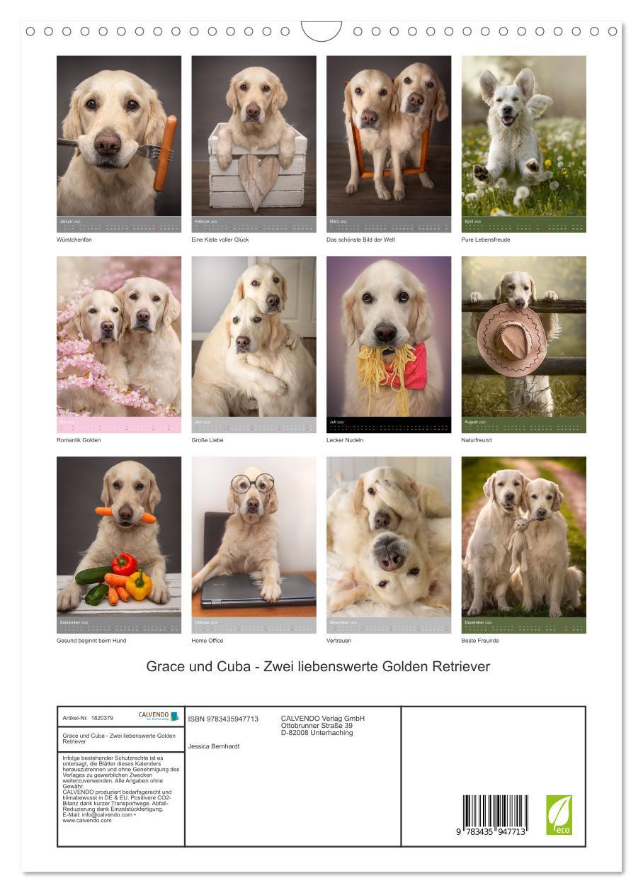 Bild: 9783435947713 | Grace und Cuba - Zwei liebenswerte Golden Retriever (Wandkalender...