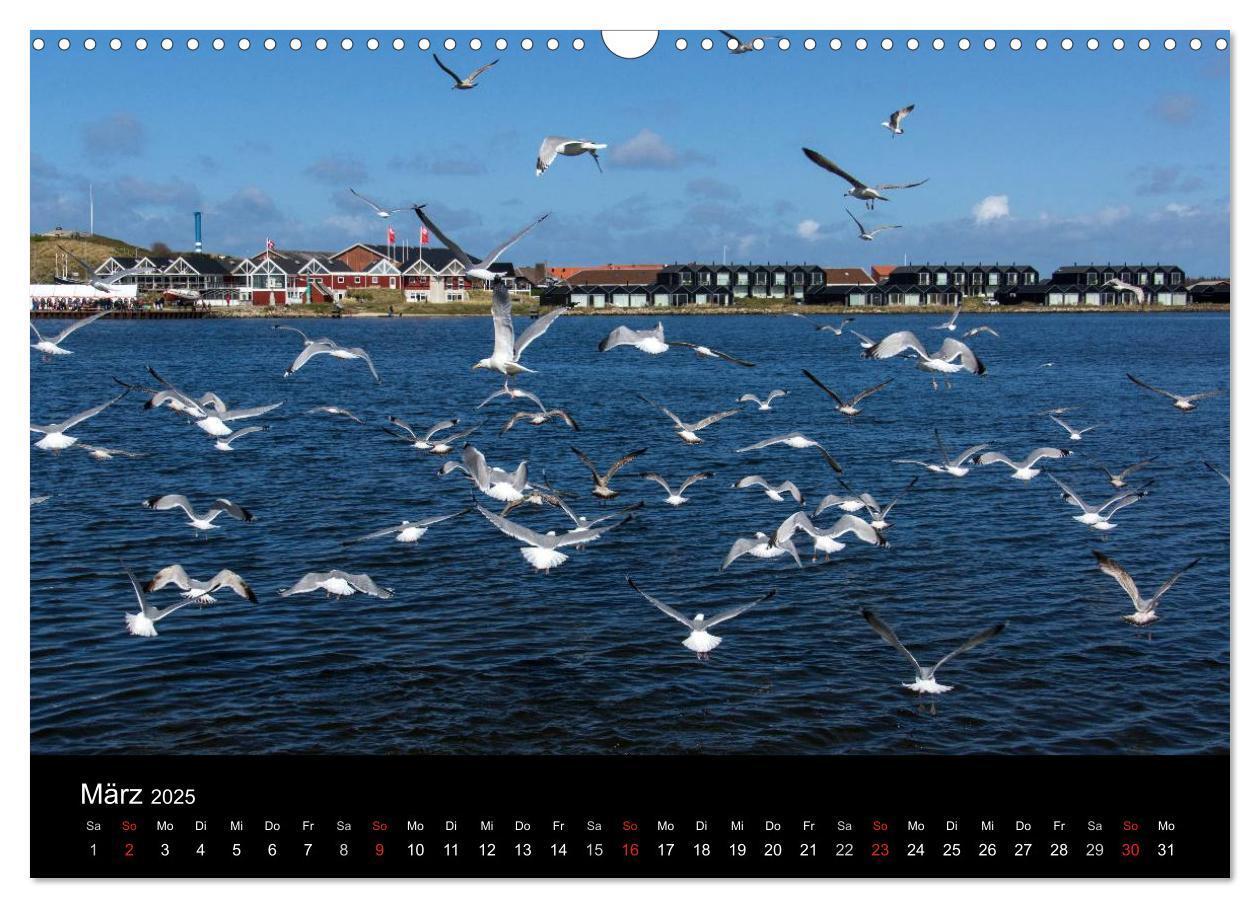 Bild: 9783435608195 | Dänemark - Umgebung von Hvide Sande (Wandkalender 2025 DIN A3...