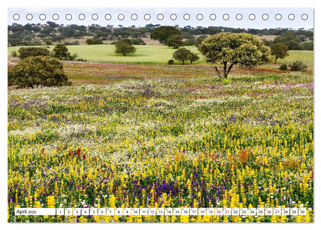 Bild: 9783435116355 | Alentejo - das romantische Portugal (Tischkalender 2025 DIN A5...