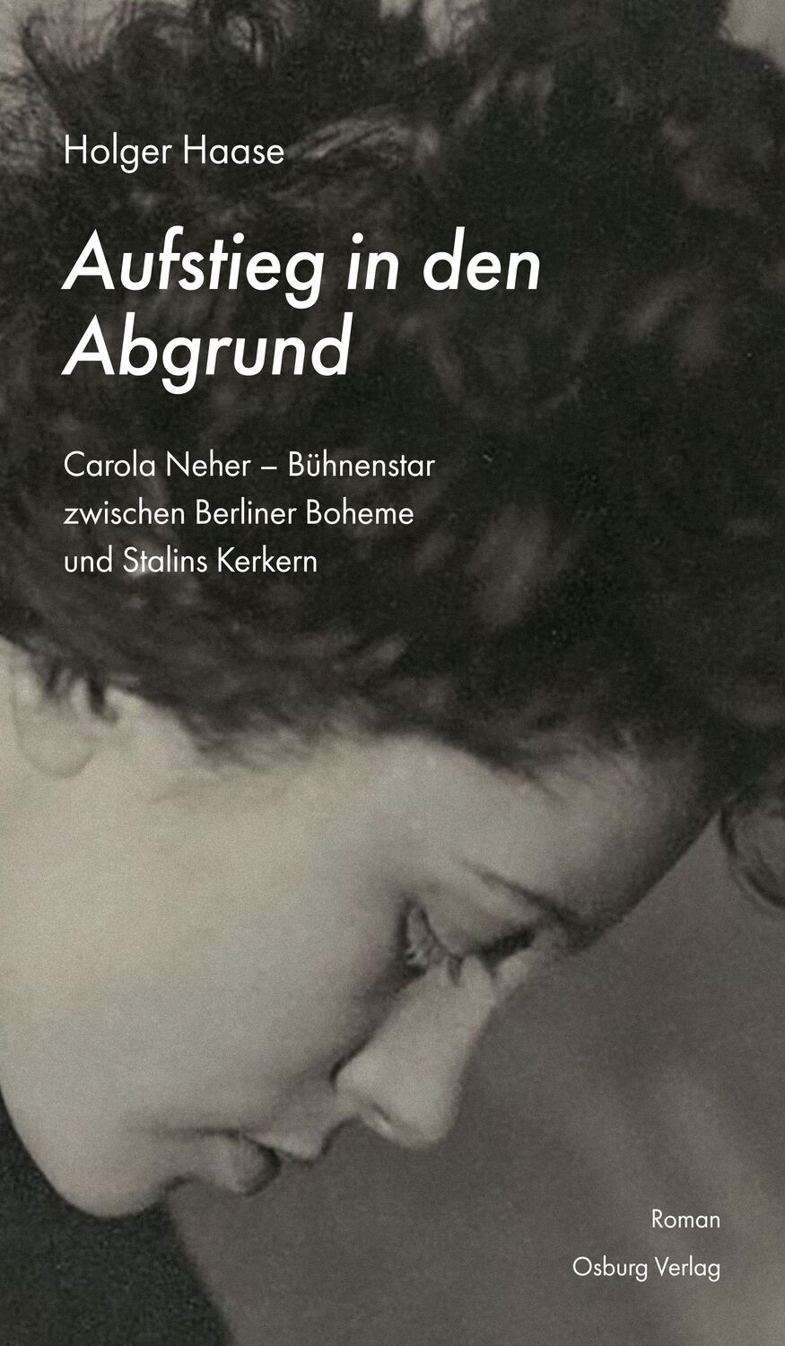 Cover: 9783955102920 | Aufstieg in den Abgrund | Holger Haase | Buch | Deutsch | 2022