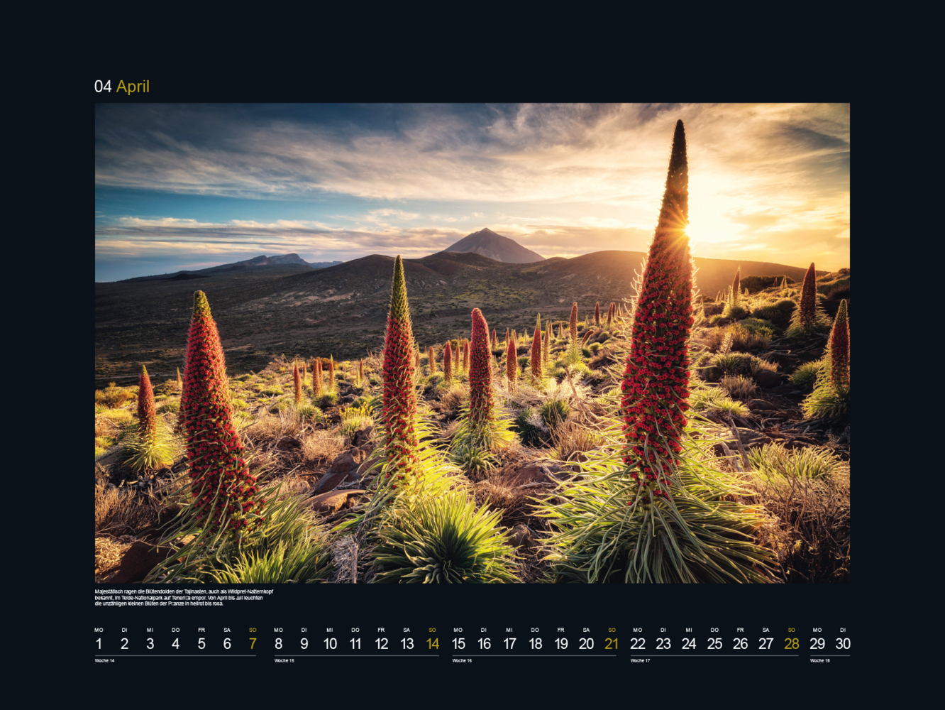 Bild: 9783965912540 | UNESCO Naturerbe der Welt - KUNTH Wandkalender 2024 | Kalender | 14 S.