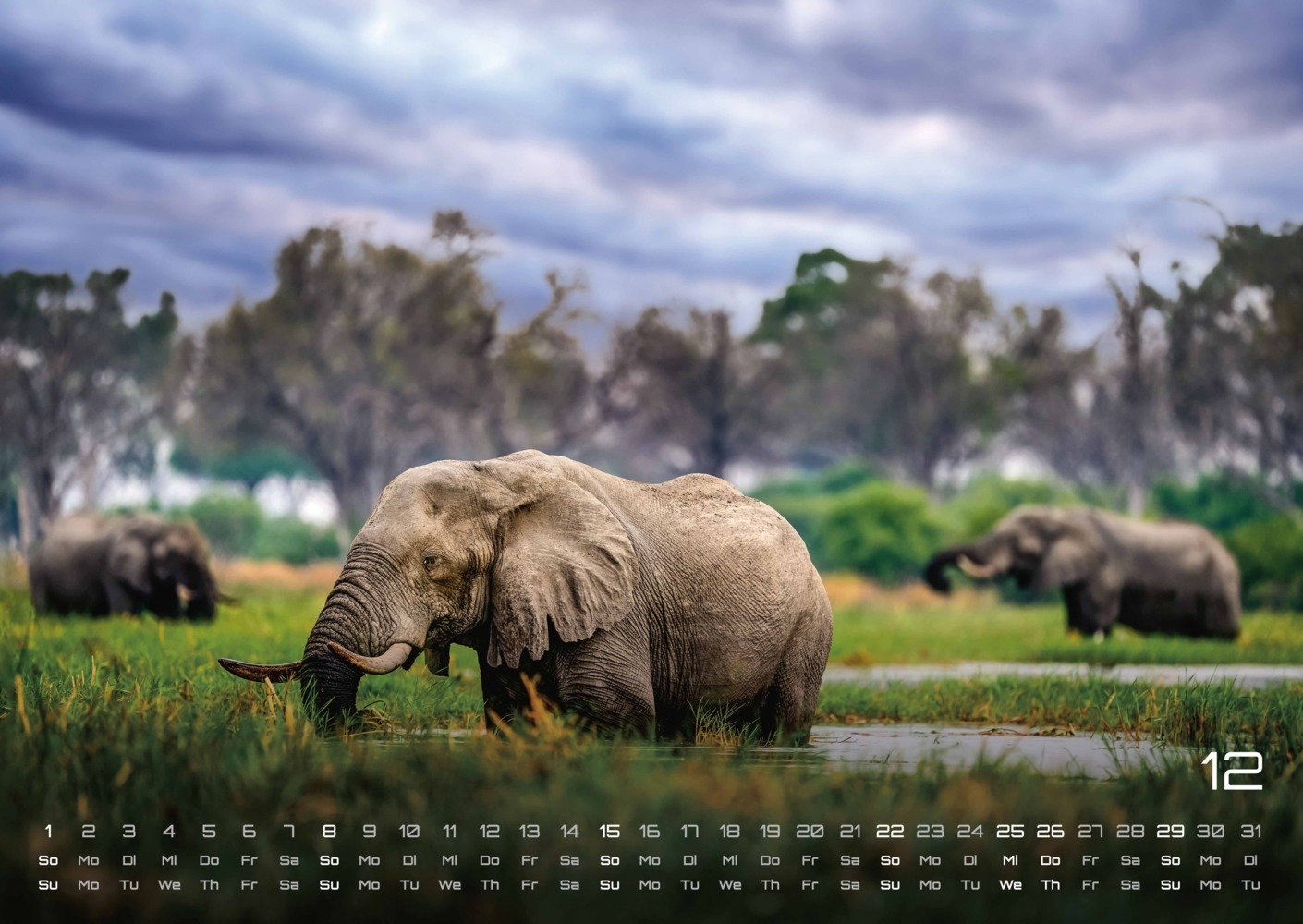 Bild: 9783986732370 | Elefanten - einzigartige Giganten - 2024 - Kalender DIN A2 | Kalender
