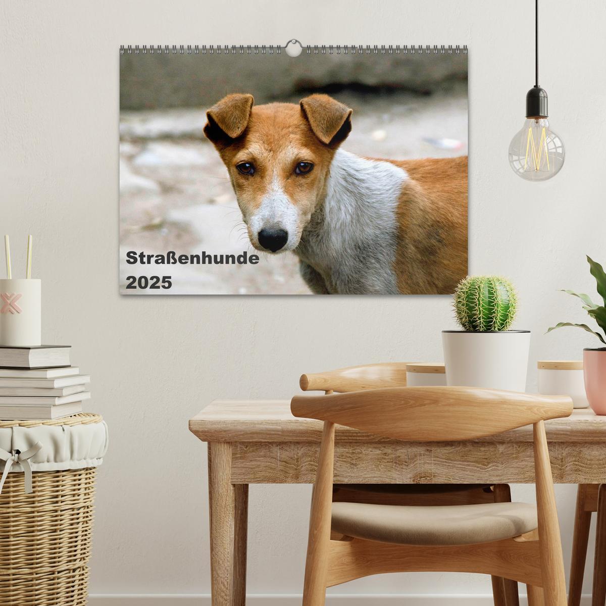 Bild: 9783435801435 | Straßenhunde (Wandkalender 2025 DIN A3 quer), CALVENDO Monatskalender