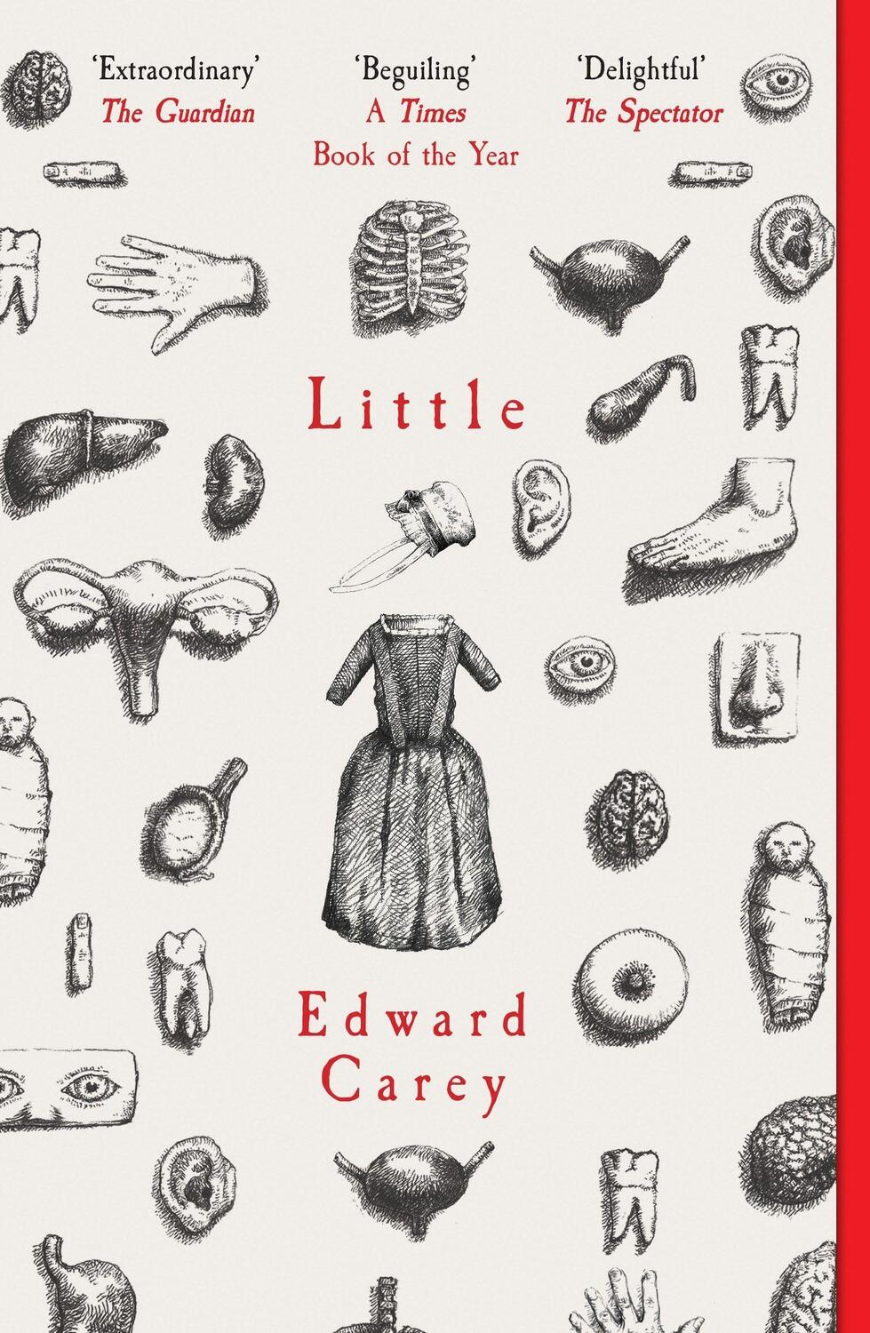 Cover: 9781910709535 | Little | Edward Carey | Taschenbuch | Englisch | 2019