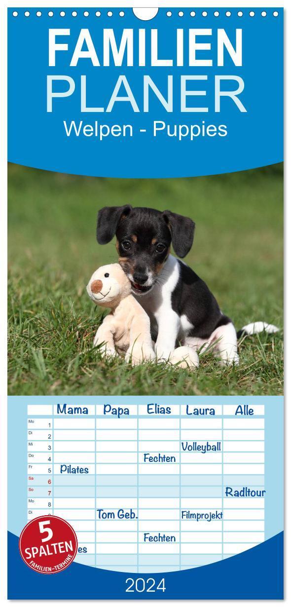 Cover: 9783383070945 | Familienplaner 2024 - Welpen - Puppies mit 5 Spalten (Wandkalender,...