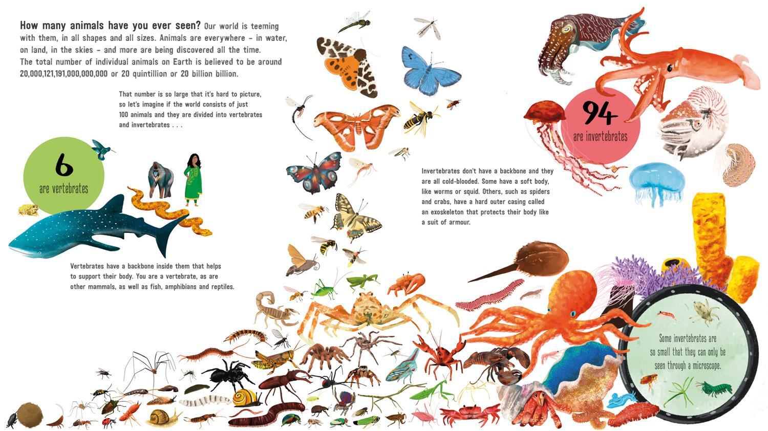 Bild: 9781405299350 | If the World Were 100 Animals | Miranda Smith | Taschenbuch | Englisch