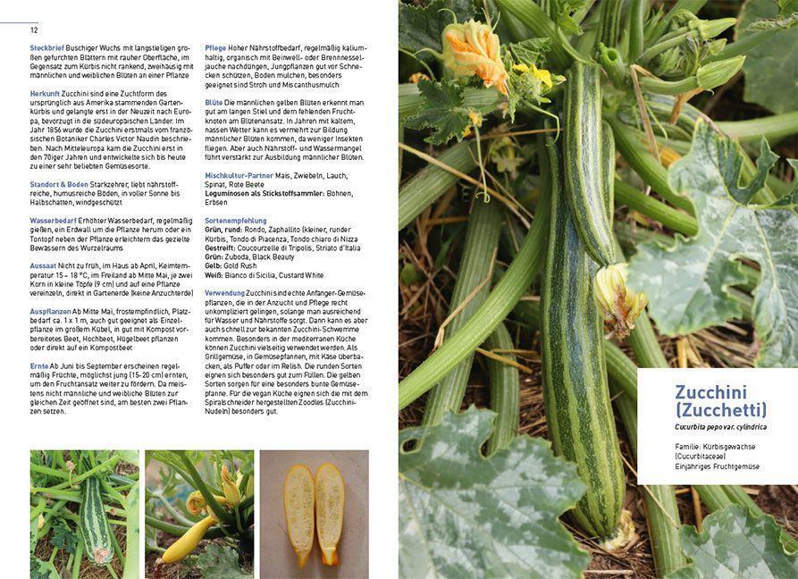 Bild: 9783258083520 | Klimastarke Gemüse | Reiche Ernte mit robusten Sorten | Hannemann