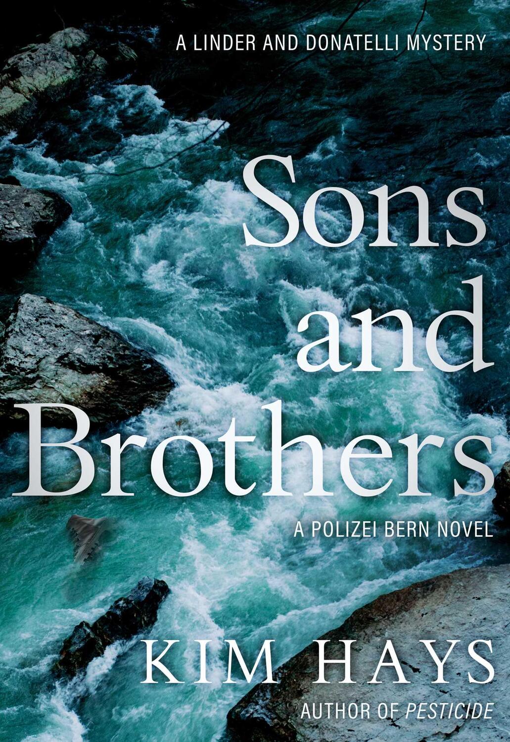 Cover: 9781645060581 | Sons and Brothers | Kim Hays | Taschenbuch | Englisch | 2023