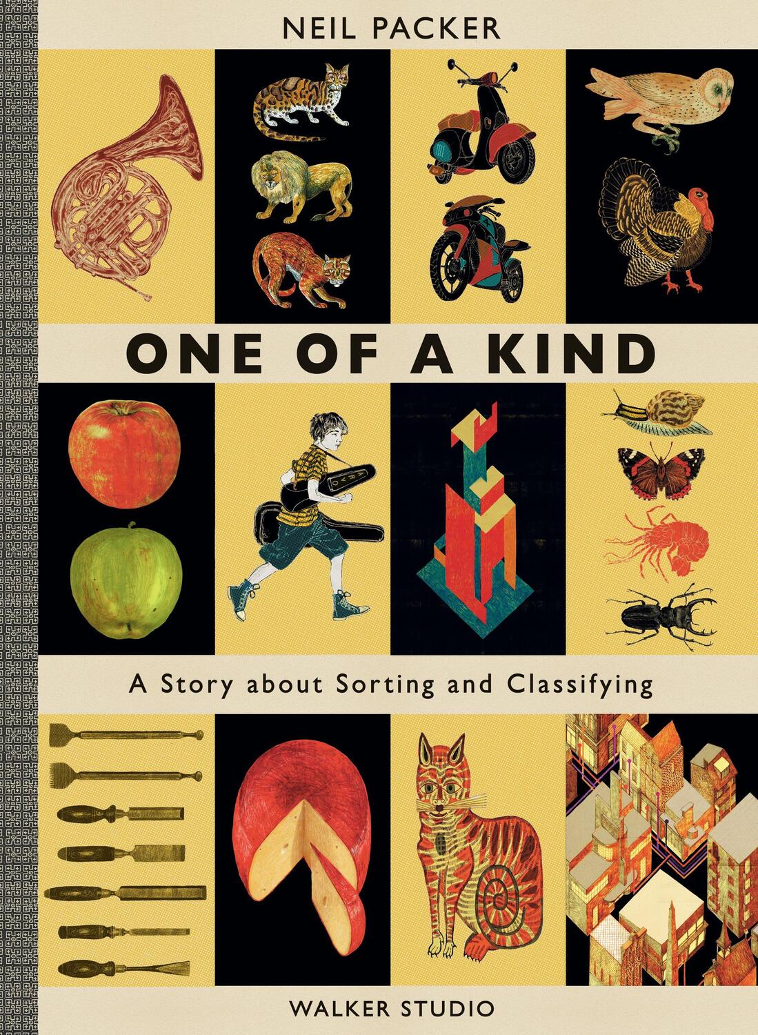 Cover: 9781406379228 | One of a Kind | A Story About Sorting and Classifying | Neil Packer
