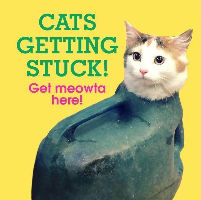 Cover: 9781785036309 | Cats Getting Stuck! | Ebury Press | Buch | o. Pag. | Englisch | 2018