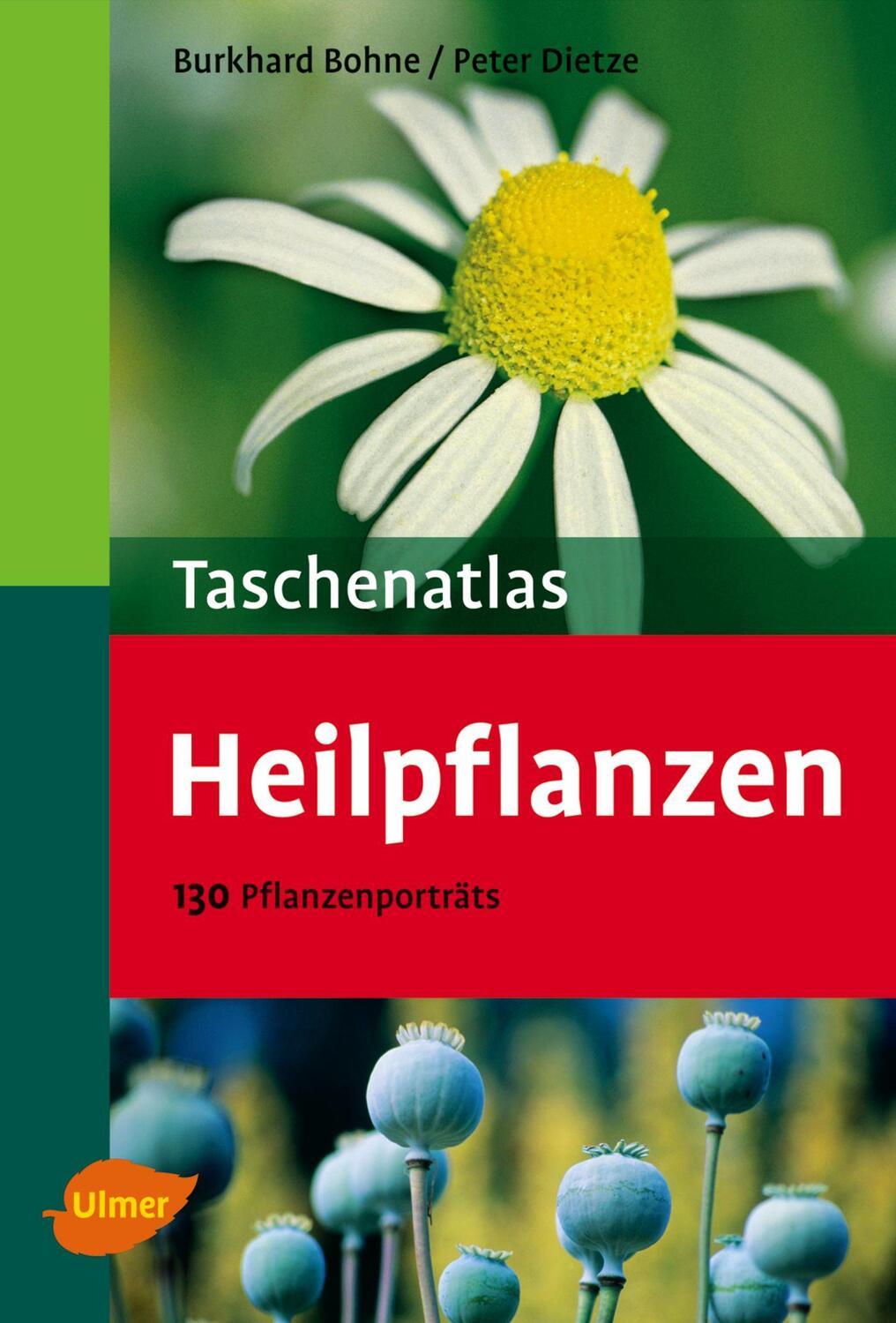 Cover: 9783800147595 | Taschenatlas Heilpflanzen | 130 Pflanzenporträts | Bohne (u. a.)