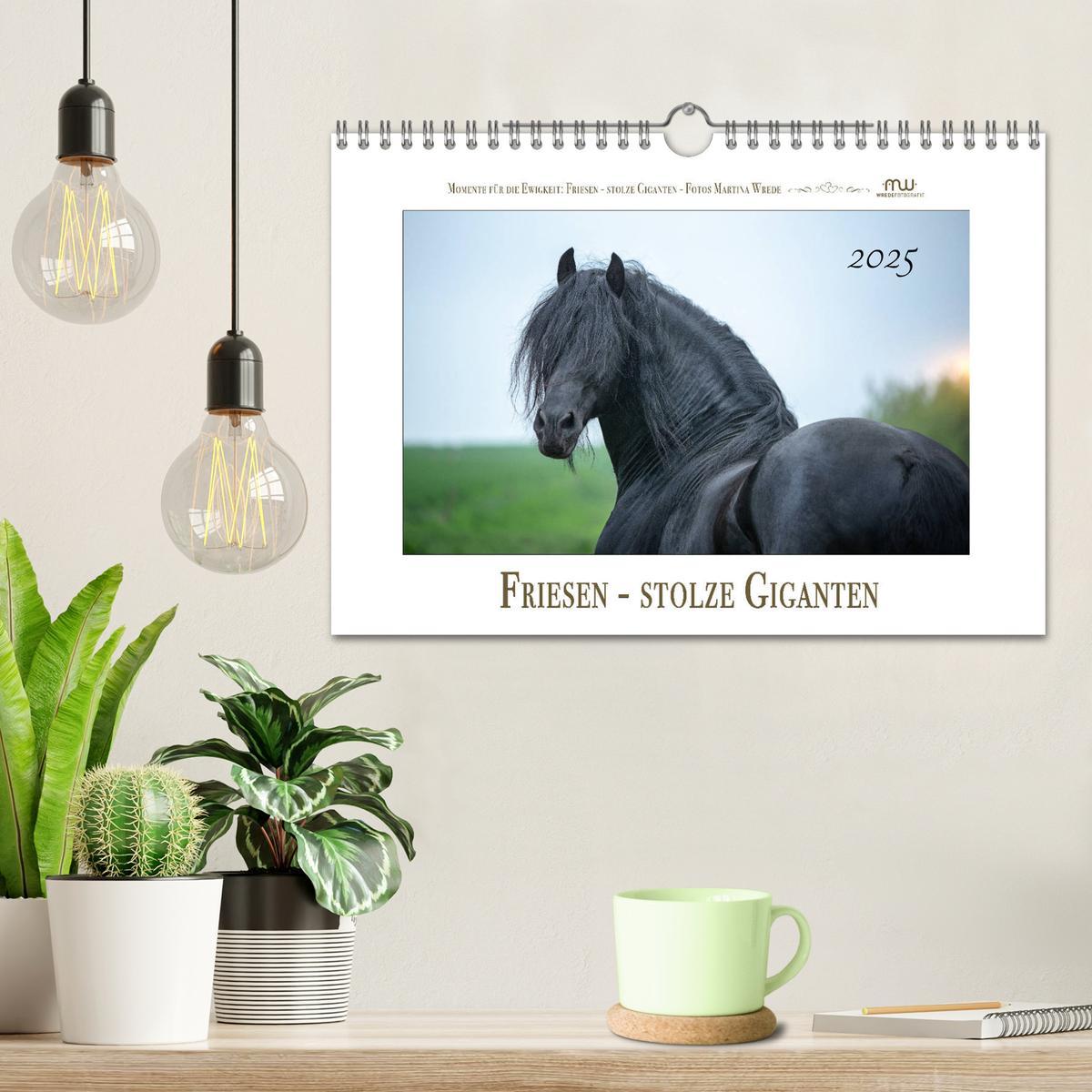 Bild: 9783435236343 | Friesen - stolze Giganten (Wandkalender 2025 DIN A4 quer), CALVENDO...