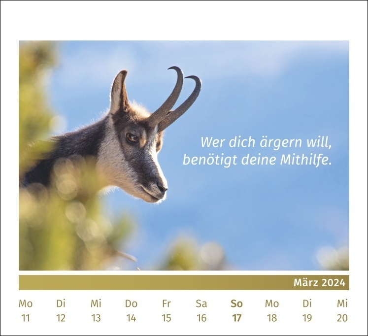 Bild: 9783840196010 | PAL-Lebensfreude-Tischkalender 2024: Inspirierender Kalender zum...